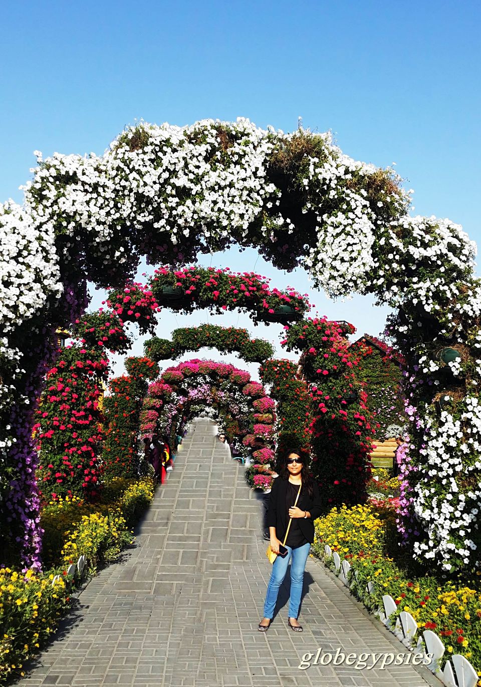 Photo of Miracle Garden 1 - Arjan-Dubailand - Dubai - United Arab Emirates by Panchami Bekal
