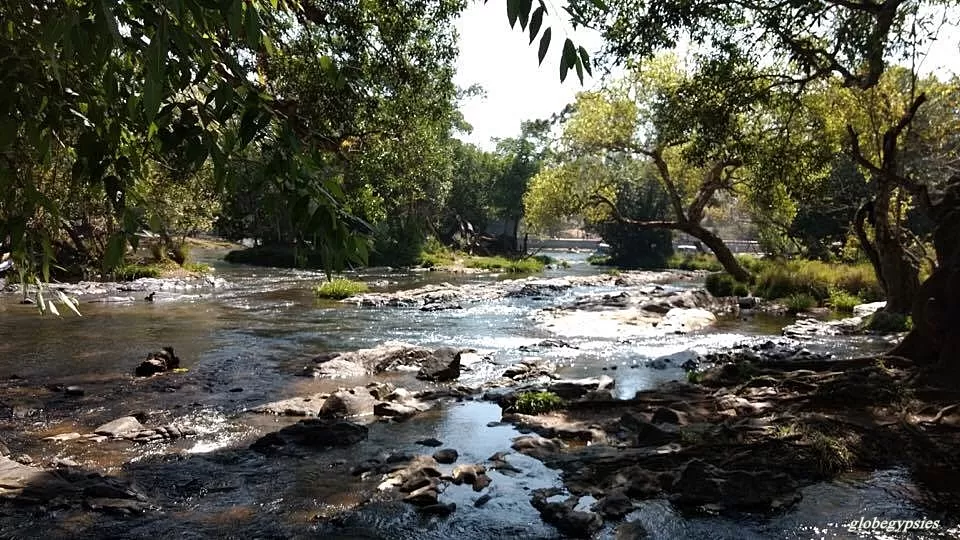 Photo of Dubare Elephant Camp, Nanjarayapatna, Karnataka, India by Panchami Bekal