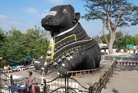 Photo of Nandi Temple, Chamundi Hill Road, Chamundi Hill, Mysuru, Karnataka, India by Panchami Bekal