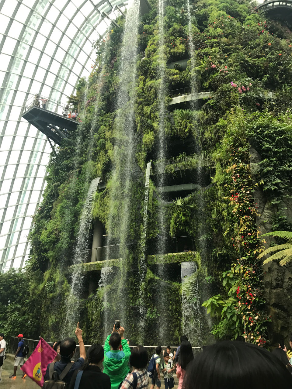 Photo of Gardens by the Bay Singapore by Srikanth Iyer