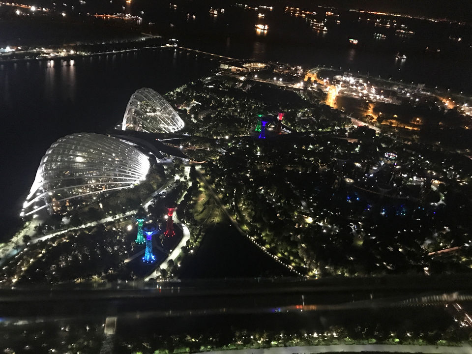 Photo of Gardens by the Bay Singapore by Srikanth Iyer