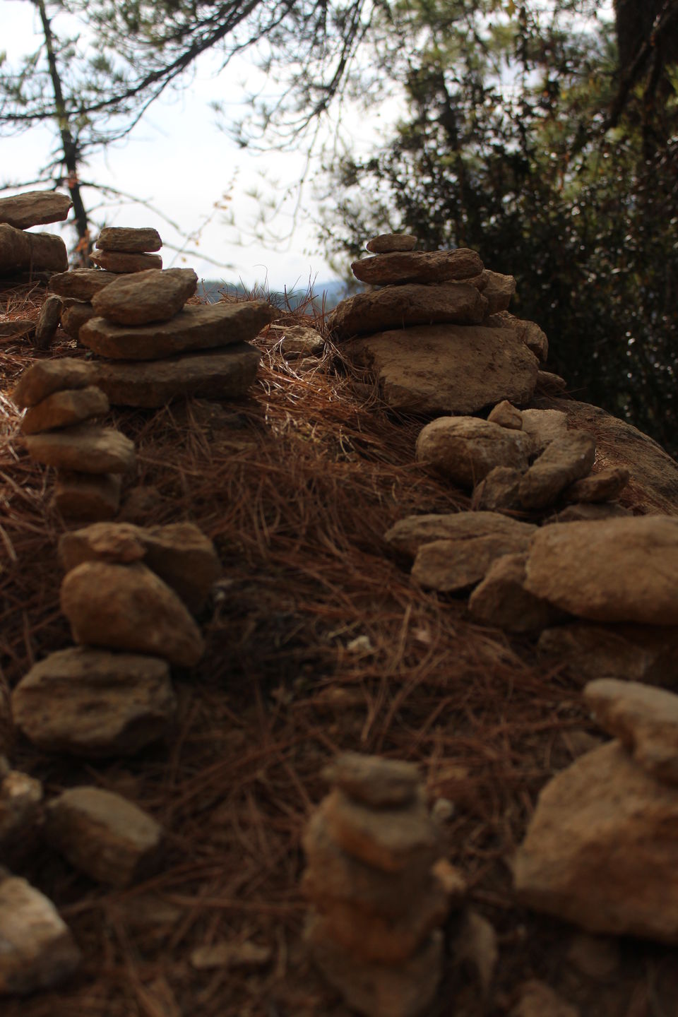 Photo of The land of Thunder Dragons- Bhutan by Nehal Pasad