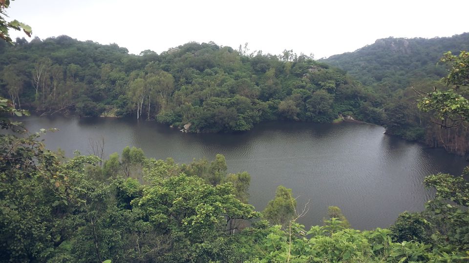 Photo of A Wonderland in the Deserted soil- Mount abu 21/26 by Nehal Pasad
