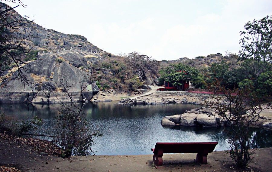 Photo of A Wonderland in the Deserted soil- Mount abu 23/26 by Nehal Pasad