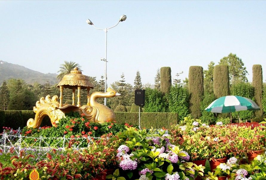 Photo of A Wonderland in the Deserted soil- Mount abu 25/26 by Nehal Pasad