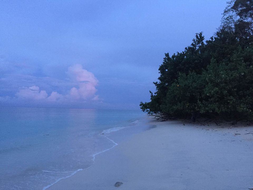 Photo of Only way to explore Andamans - Dive in! by Aditi Munjal