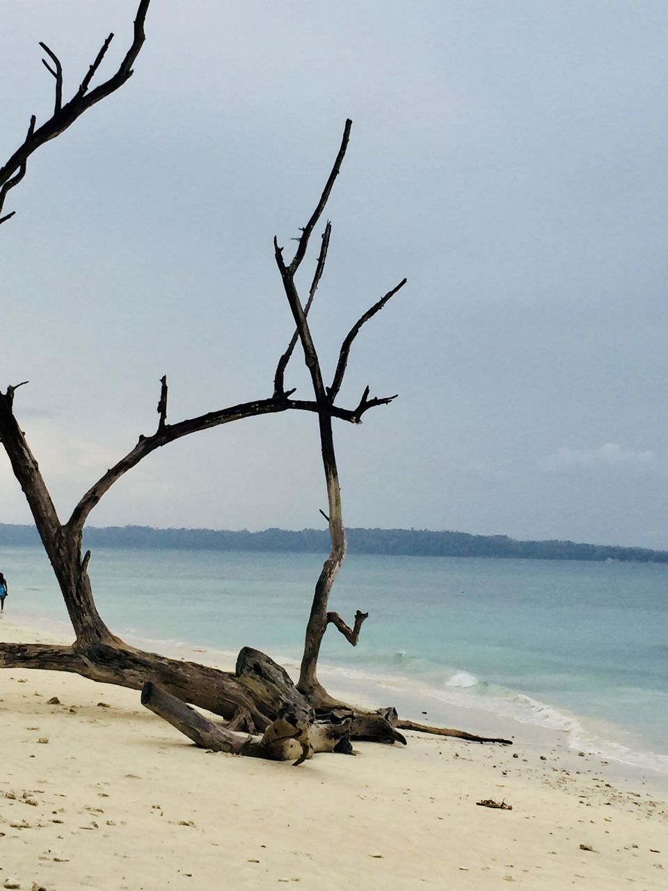 Photo of Only way to explore Andamans - Dive in! by Aditi Munjal