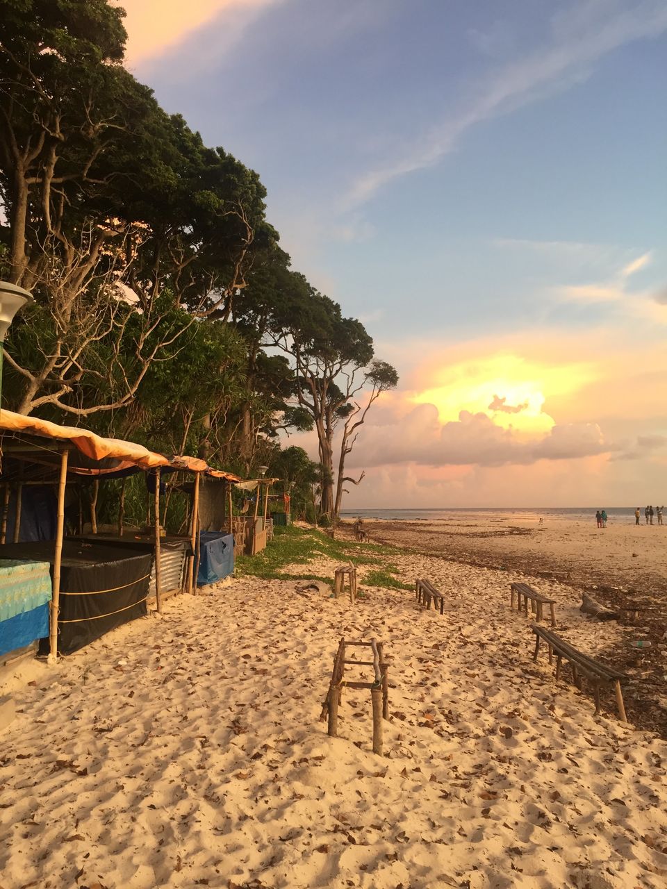 Photo of Only way to explore Andamans - Dive in! by Aditi Munjal