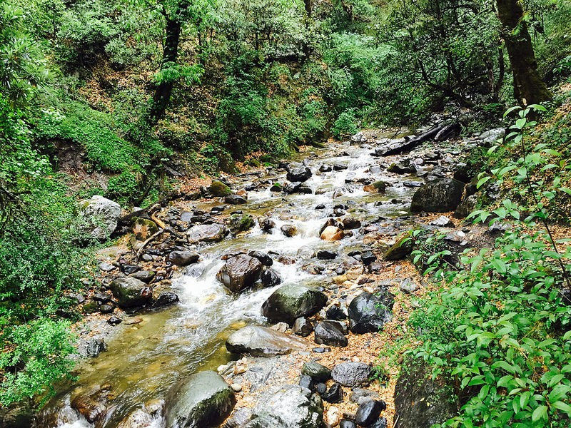 Photo of Gharoli Patal, Chamoli, Uttarakhand, India by Aman Sharma