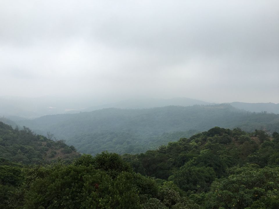 Photo of Coorg - The Scotland of India by Agam Jain