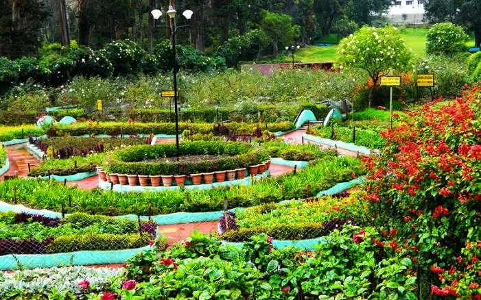 Photo of Kodaikanal - Princess of Hill Stations by Agam Jain - Gypsy On Voyage