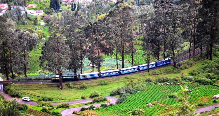 36 Weekend Road Trips To Astonishing Destinations From Bangalore - Tripoto