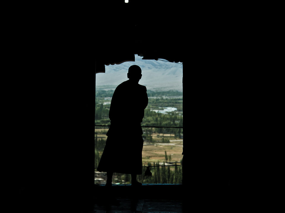 Photo of Lost In Ladakh: A Solo Road Trip! by Omkar Phatak