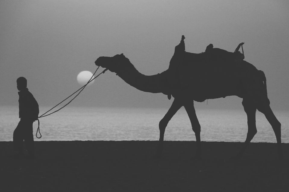 Photo of Kutch: Where Culture Awaits 5/7 by Omkar Phatak