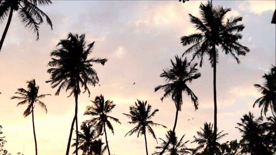Photo of Meanwhile in Malvan 2/5 by Omkar Phatak