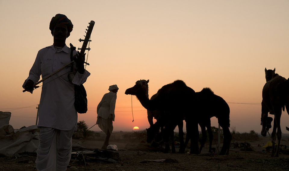 Photo of Pushkar Fair: Capture the true colors of Rajasthan! by saloni maheshwari