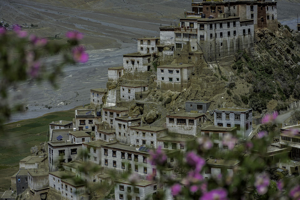 Photo of Kibber, Himachal Pradesh, India by Ayush Sureka