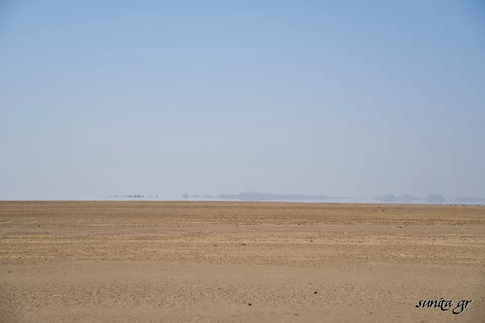Photo of Little Rann of Kutch, Kutch, Gujarat, India by TheVisastampCollector