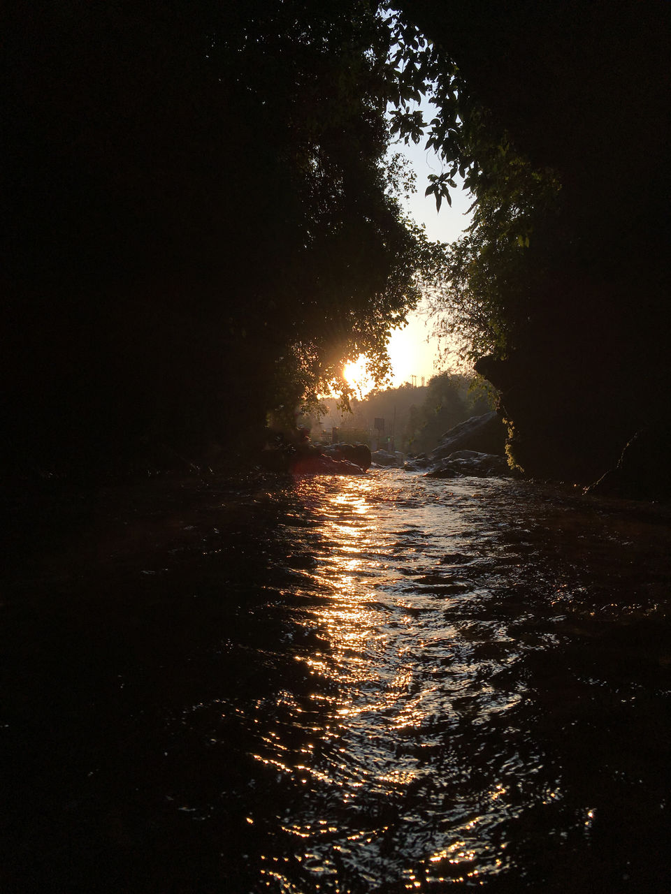 Photo of Robber's Cave: An explorer's ideal destination in Dehradun by Risha Rana
