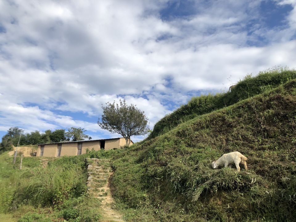 Photo of The Goat Village: A Total Offbeat Home Stay in Uttarakhand #SecondHome 3/4 by Risha Rana