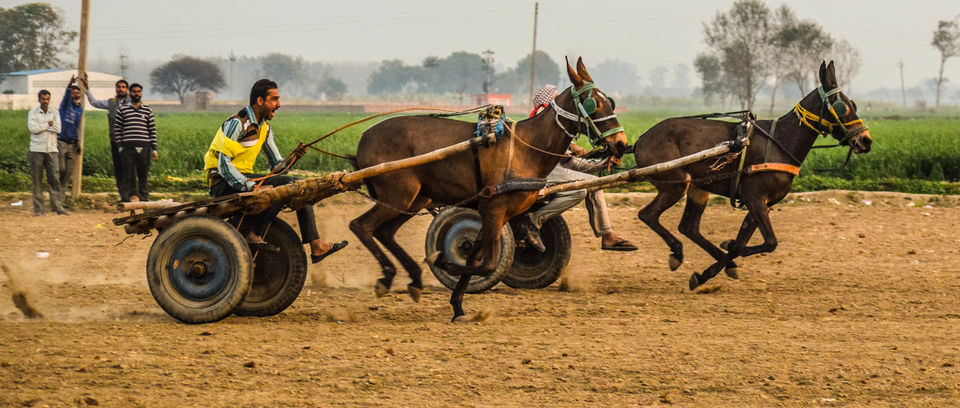 Photo of Kila Raipur Sports Festival – A Visual Treat of Rural Punjab 1/3 by anshul akhoury