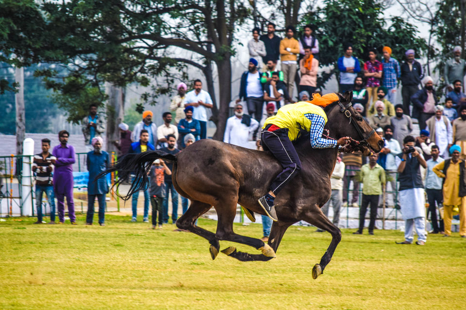 Photo of Kila Raipur Sports Festival – A Visual Treat of Rural Punjab by anshul akhoury
