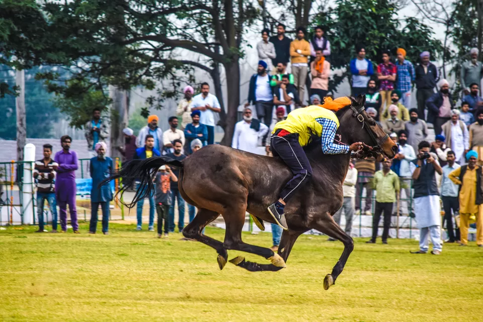 Photo of Kila Raipur Sports Festival – A Visual Treat of Rural Punjab by anshul akhoury