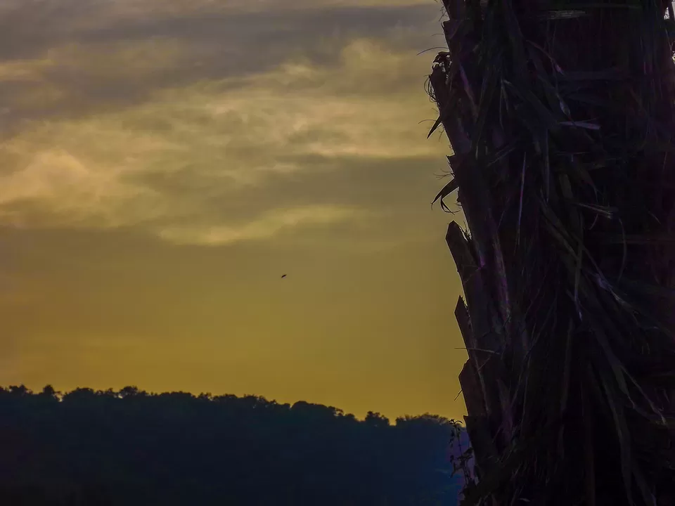 Photo of Anmod, Karnataka, India by anshul akhoury