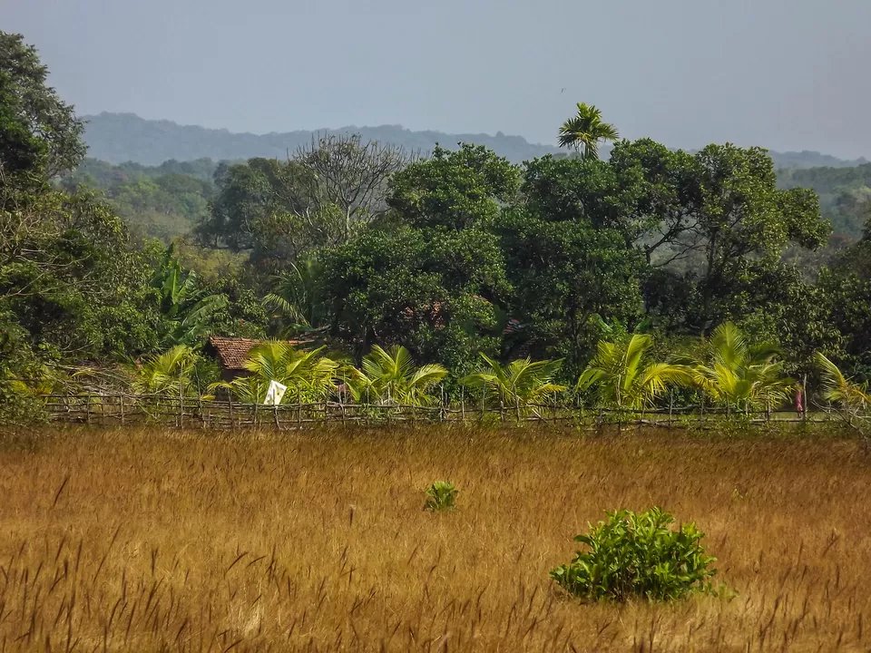 Photo of Anmod, Karnataka, India by anshul akhoury