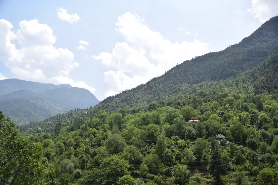 Photo of Gushaini, Himachal Pradesh, India by anshul akhoury