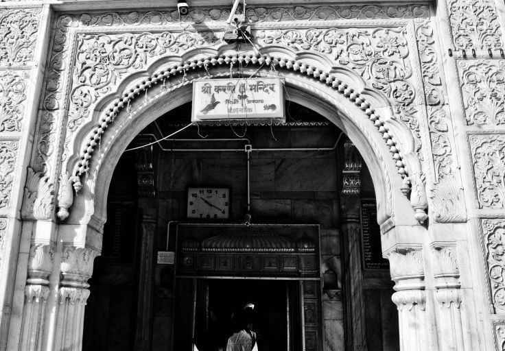 Photo of A Visit to the Fabled Mouse Temple of Bikaner 1/1 by anshul akhoury