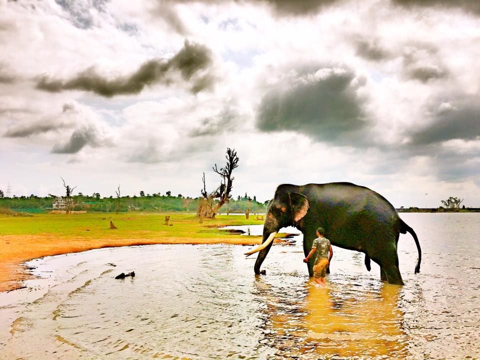 Photo of Sakrebyle, Karnataka, India by anshul akhoury