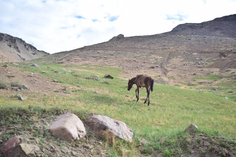 Photo of Trekking to the mysterious Moon Lake - Some Essential Dos and Don'ts 5/8 by anshul akhoury