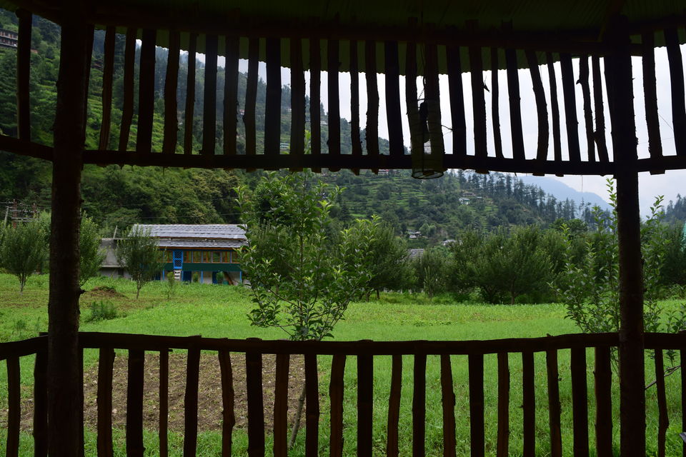Photo of This Summers, Join A Himalayan NGO And Save It From Dying by anshul akhoury