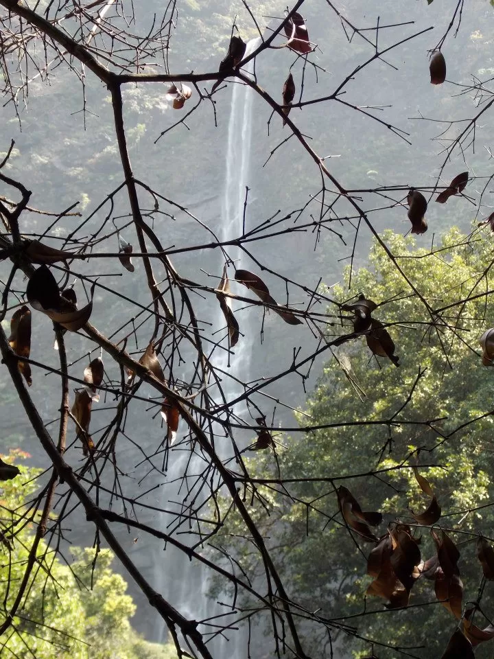 Photo of Kudumari Falls, Karnataka, India by anshul akhoury