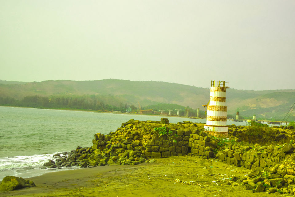 Photo of Velas and Anjarle Turtle Festivals – All you need to know 3/7 by anshul akhoury