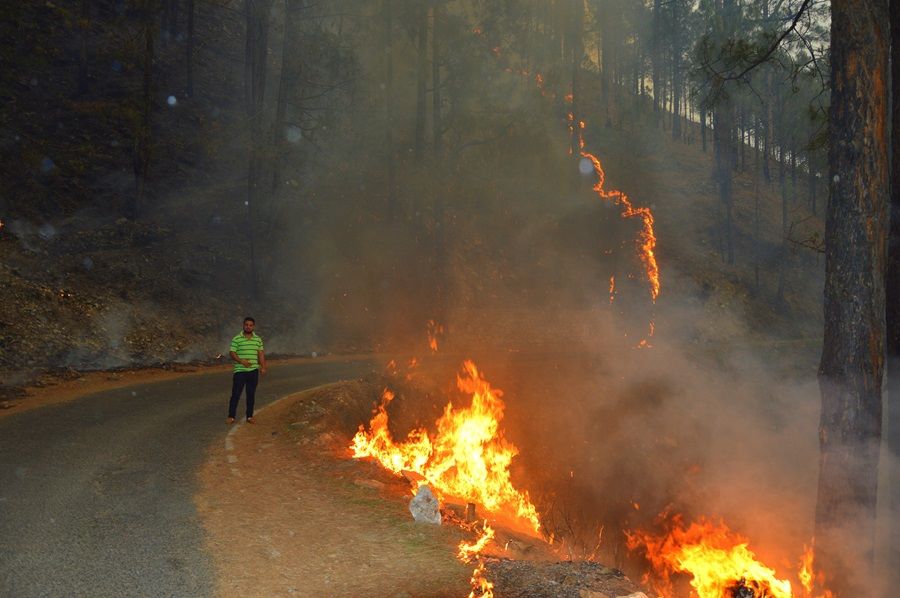 Photo of Uttarakhand is burning – Is anyone listening? 1/2 by anshul akhoury