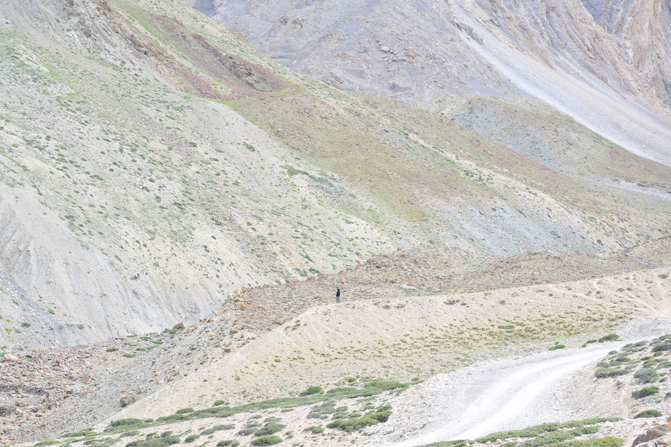 Photo of Ditch Pangong and Nubra for this gorgeous 3 day trek in Sham Valley on your next Ladakh trip 2/3 by anshul akhoury