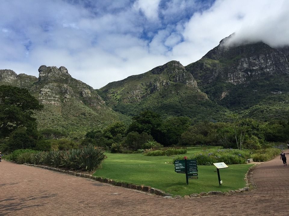 Photo of Cape Town, Western Cape, South Africa by Matt Zarchy