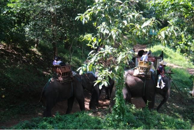 Photo of Doi Suthep Su Thep Chiang Mai Thailand by Sanchari Mitra