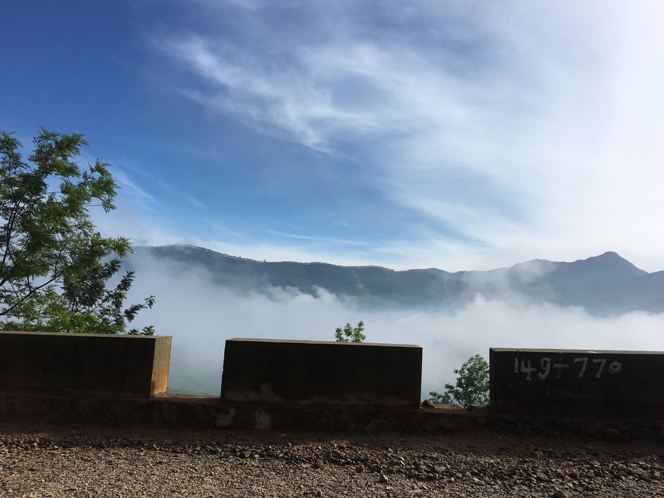 Photo of <u>Munnar: Amidst Mist</u> 5/7 by Rohit Agrawal