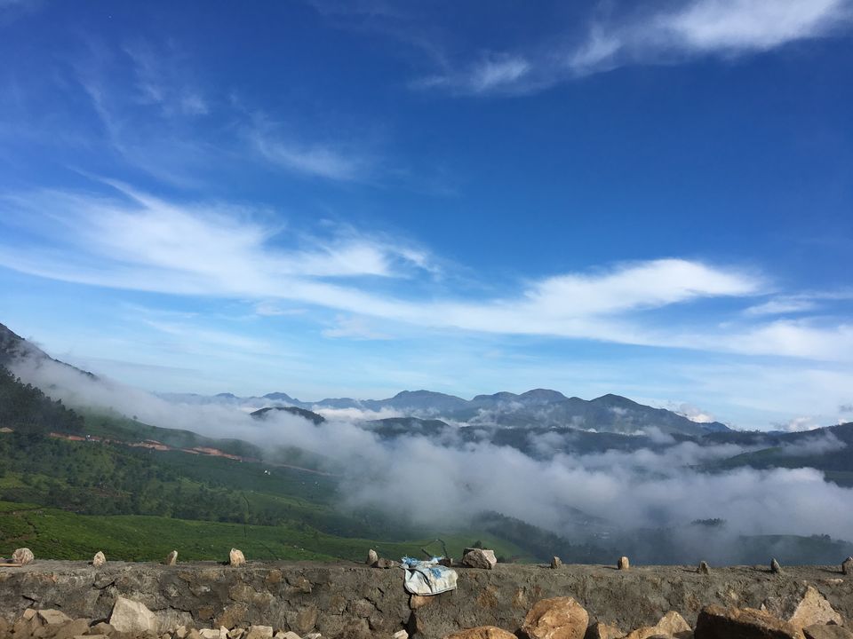 Photo of <u>Munnar: Amidst Mist</u> 3/7 by Rohit Agrawal