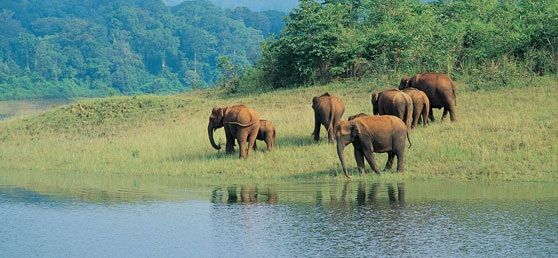 Photo of Top 6 Wildlife Sanctuaries in India That You Can’t Afford To Miss 4/6 by Jyoti Dhiman