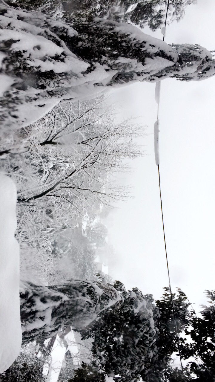 Photo of Dalhousie, Himachal Pradesh, India by Karishma Chandwani