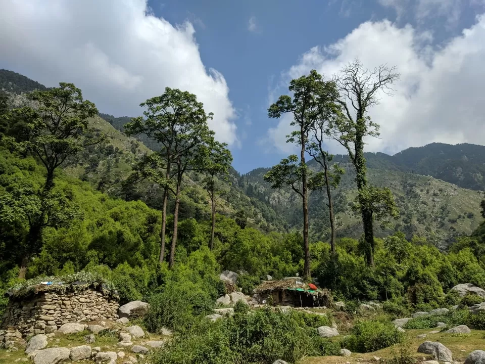 Photo of Snow Monk Camp, a unit of Holiday Moods Adventures, Kangra, Himachal Pradesh, India by Jyoti Porwal (freaky adrift traveler)