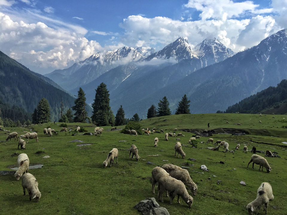 Photo of A Kashmiri Local's Guide To Exploring The Hidden Trails Of Aru And Lidderwat Valleys by Aamir Wani