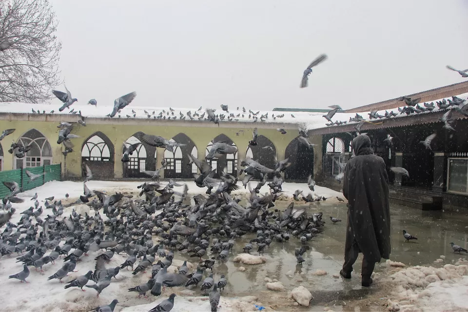 Photo of Sufi Shrines In Srinagar by Aamir Wani