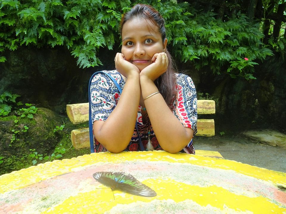 Photo of Butterflies of Malaysia 3/8 by Soma Dey