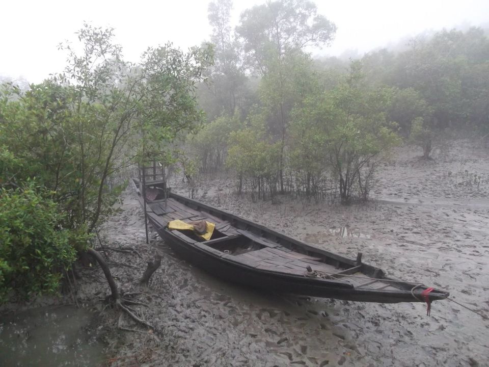 Photo of Sunderban_One And Only Mangrove's 12/12 by Saurabh Shukla