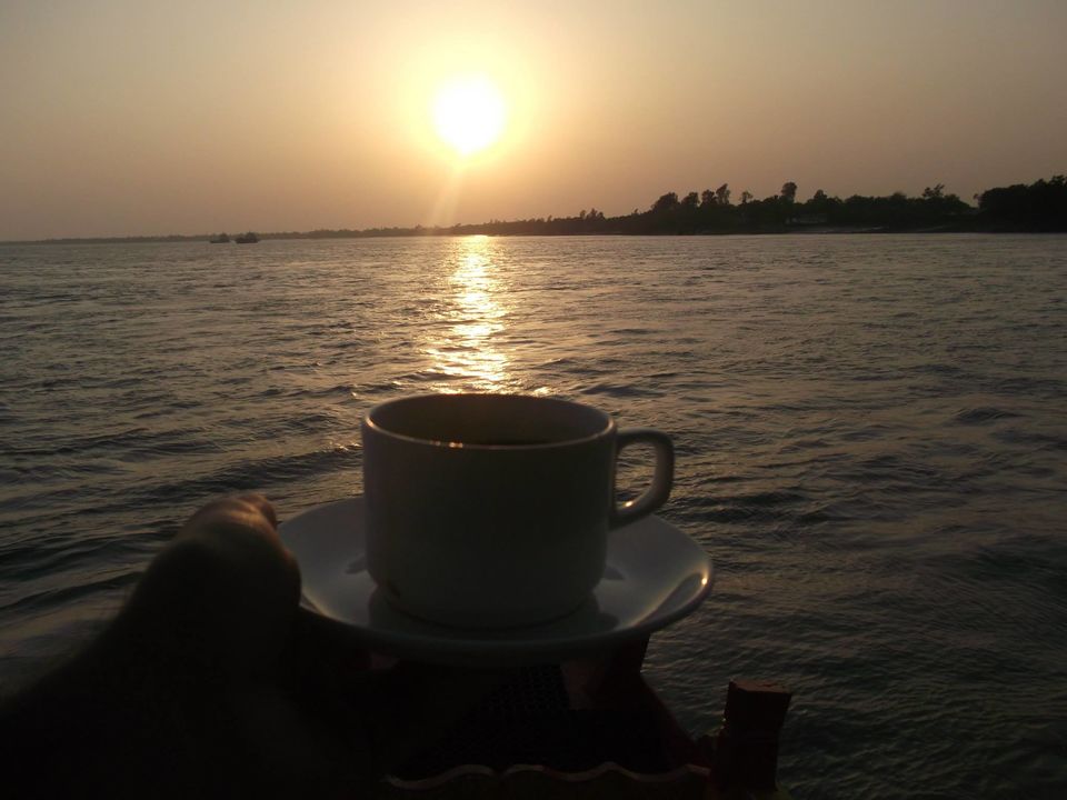 Photo of Sunderban_One And Only Mangrove's 11/12 by Saurabh Shukla